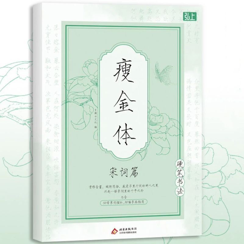 Libro di calligrafia cinese So - Chinese Calligraphy Practice Book recensione e prezzo